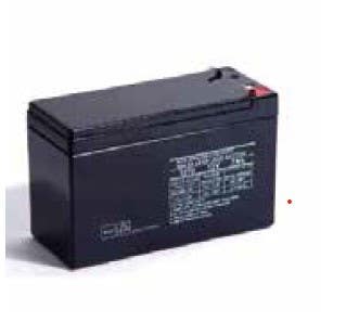 Pamex EPS Backup Battery