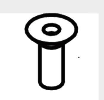 MUL-T-Lock PPL-SCR-TR100 Retainer Screw For Cylinder For T-Series Padlock TR100