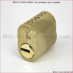 MUL-T-Lock SCANEXT Scandinavian Oval Cylinder For ASSA Type Lock